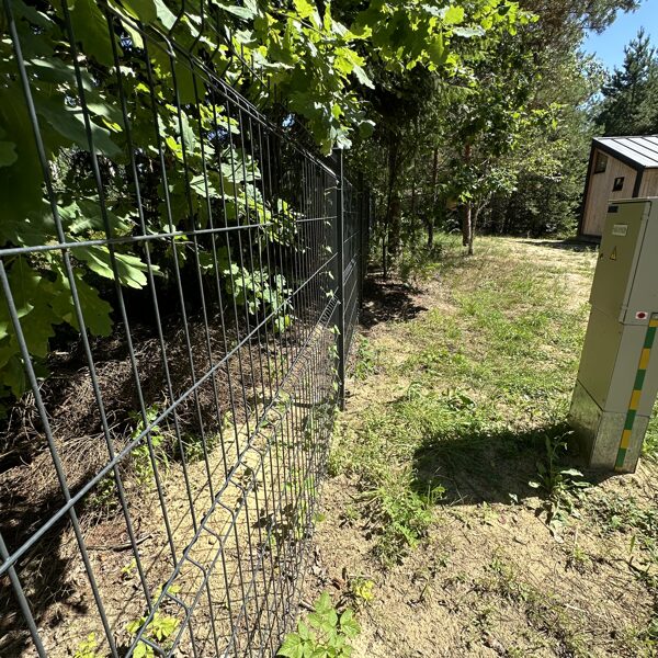 Namo kiemas ir tvora – pilnai įrengtas sklypas Kauno rajone